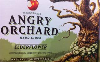 cider perry beer reviews for the average guy